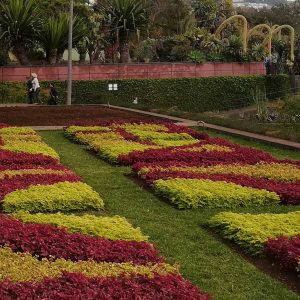 Gärten auf Madeira