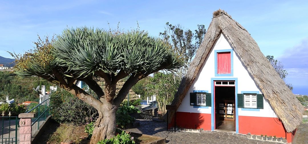 Dónde alojarse en Madeira