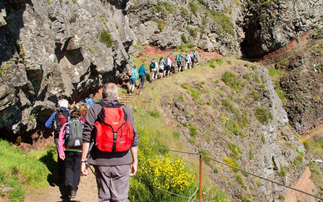 Principales razones por las madeira necesita ser explorado