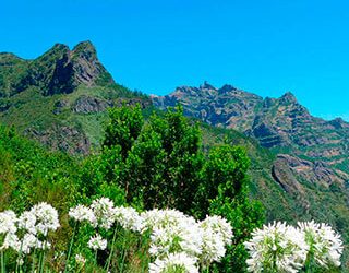 Do & lassen, während in Madeira 