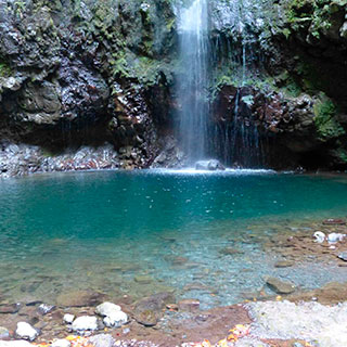 ¿Por qué Madeira no es su destino turístico habitual