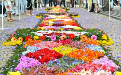 Festival de las Flores