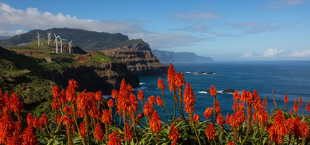 Ponta de São Lourenço