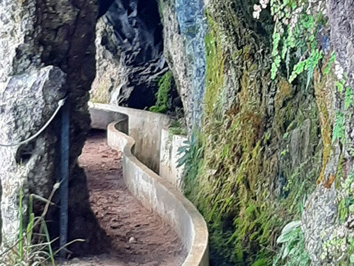 Levada Furado Ribeiro Frio